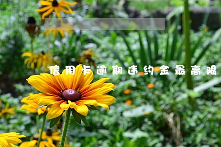 信用卡逾期违约金最高限额 信用卡逾期违约金最高限额