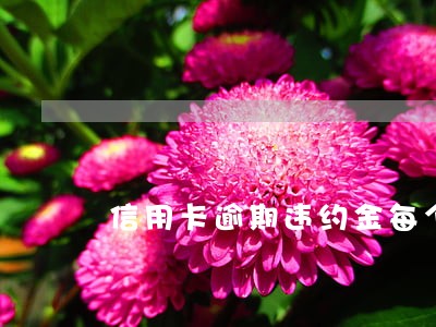 信用卡逾期违约金每个月都收吗