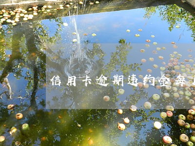 信用卡逾期违约金每月一算吗 信用卡逾期违约金每月一算吗