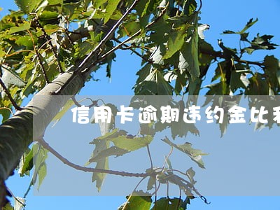 信用卡逾期违约金比利息高几倍 信用卡逾期违约金比利息高几倍