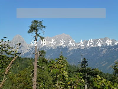 信用卡逾期违约金能减免么 信用卡逾期违约金能减免么