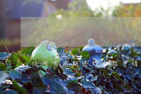 信用卡逾期违约金能申请退回吗 信用卡逾期违约金能申请退回吗