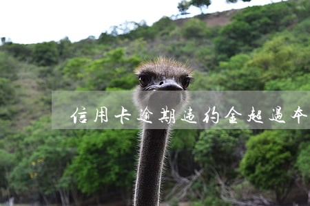 信用卡逾期违约金超过本金