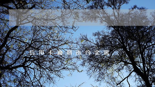 信用卡逾期违约金退 信用卡逾期违约金退