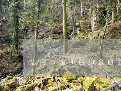 信用卡逾期违约金退回