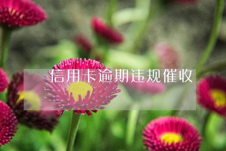 信用卡逾期违规催收