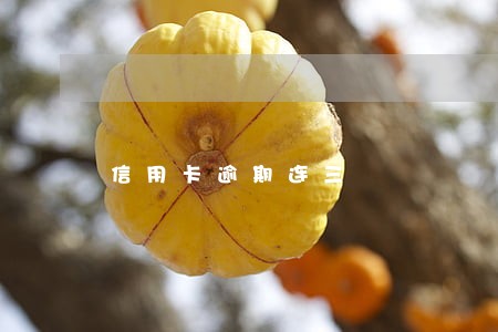 信用卡逾期连三