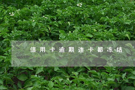 信用卡逾期连卡都冻结 信用卡逾期连卡都冻结