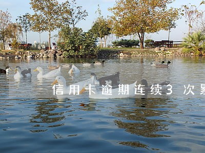 信用卡逾期连续3次累计6次 信用卡逾期连续3次累计6次
