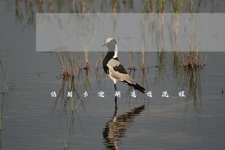 信用卡逾期追债流程