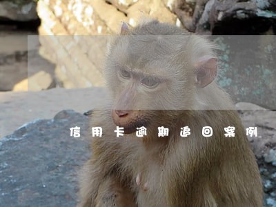 信用卡逾期追回案例 信用卡逾期追回案例