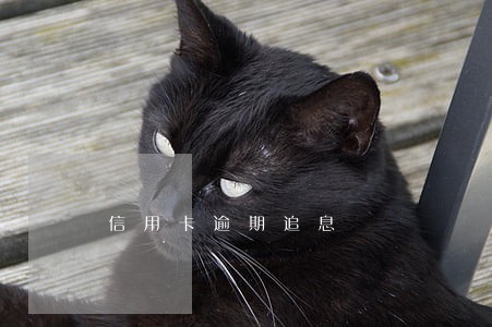 信用卡逾期追息 信用卡逾期追息