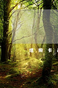 信用卡逾期追息分期 信用卡逾期追息分期