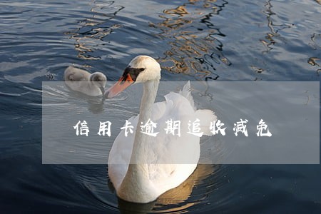 信用卡逾期追收减免