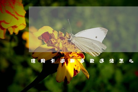 信用卡逾期追款违法怎么办 信用卡逾期追款违法怎么办