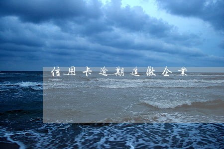 信用卡逾期追缴企业 信用卡逾期追缴企业