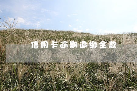 信用卡逾期追缴全款