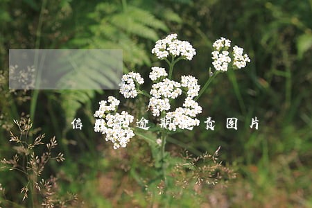 信用卡逾期追责图片 信用卡逾期追责图片