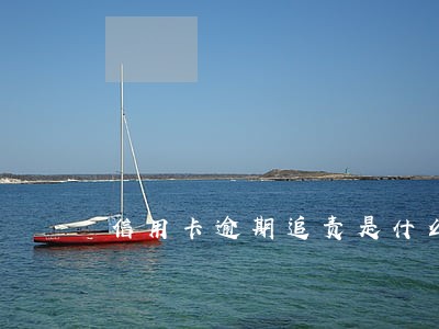 信用卡逾期追责是什么意思