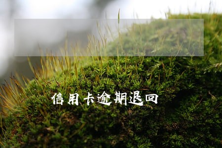 信用卡逾期退回 信用卡逾期退回