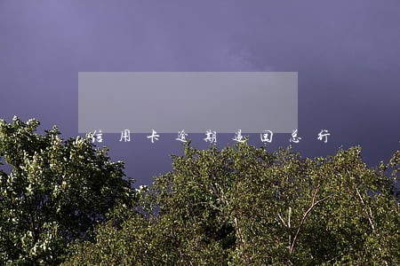 信用卡逾期退回总行 信用卡逾期退回总行