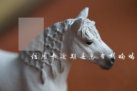 信用卡逾期退息有影响吗