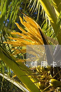 信用卡逾期退还 信用卡逾期退还