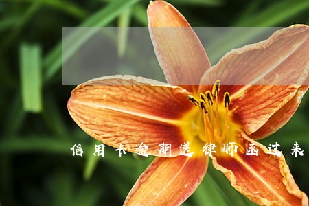 信用卡逾期送律师函过来 信用卡逾期送律师函过来