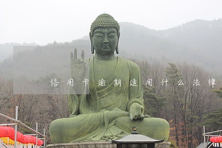 信用卡逾期适用什么法律 信用卡逾期适用什么法律