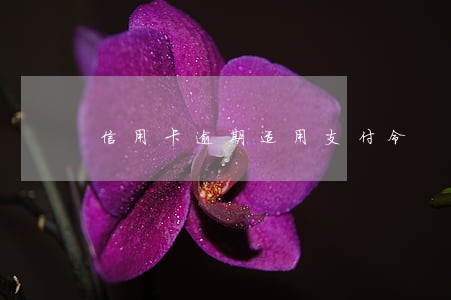 信用卡逾期适用支付令 信用卡逾期适用支付令