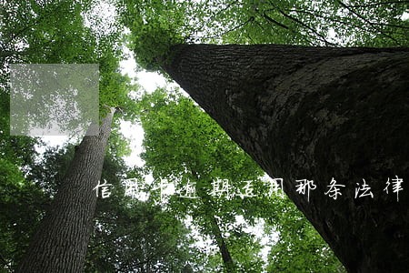 信用卡逾期适用那条法律