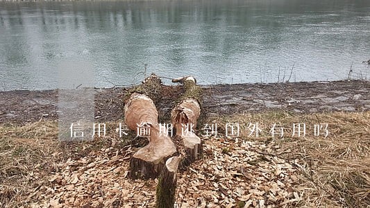 信用卡逾期逃到国外有用吗
