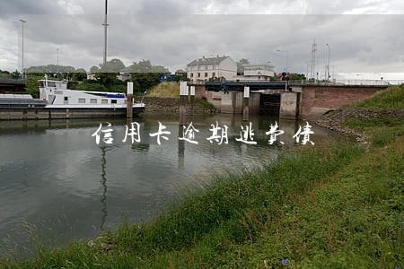 信用卡逾期逃费债
