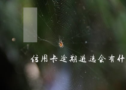 信用卡逾期逃逸会有什么结果 信用卡逾期逃逸会有什么结果