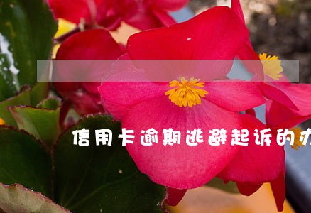 信用卡逾期逃避起诉的办法 信用卡逾期逃避起诉的办法