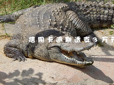 信用卡逾期透支3万元 信用卡逾期透支3万元