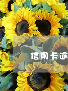 信用卡逾期透支判刑