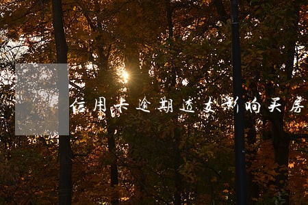 信用卡逾期透支影响买房吗 信用卡逾期透支影响买房吗