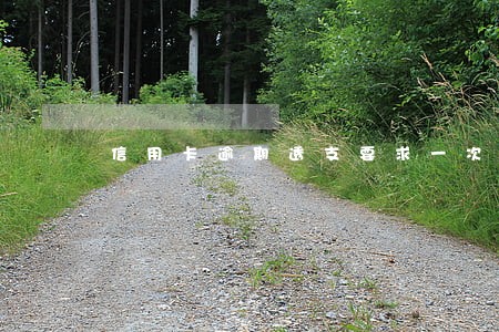 信用卡逾期透支要求一次性结算