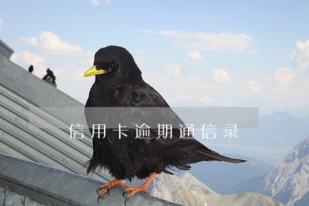 信用卡逾期通信录 信用卡逾期通信录