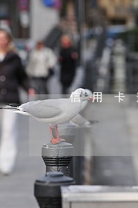 信用卡逾期通告函没有盖章 信用卡逾期通告函没有盖章