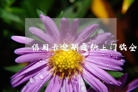 信用卡逾期通知上门收全款