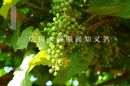 信用卡逾期通知义务 信用卡逾期通知义务