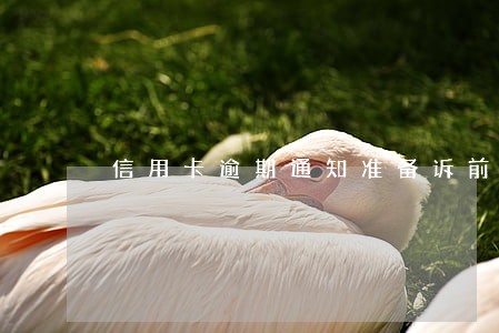 信用卡逾期通知准备诉前材料 信用卡逾期通知准备诉前材料
