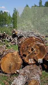 信用卡逾期通知函 信用卡逾期通知函