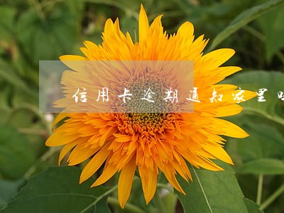 信用卡逾期通知家里吗