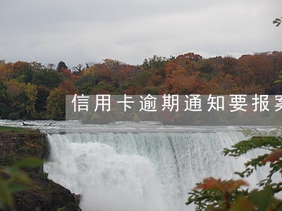 信用卡逾期通知要报案怎么处理
