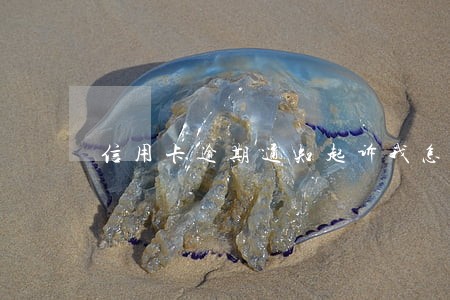 信用卡逾期通知起诉我怎么办 信用卡逾期通知起诉我怎么办