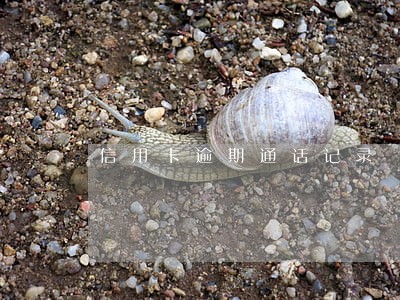 信用卡逾期通话记录 信用卡逾期通话记录
