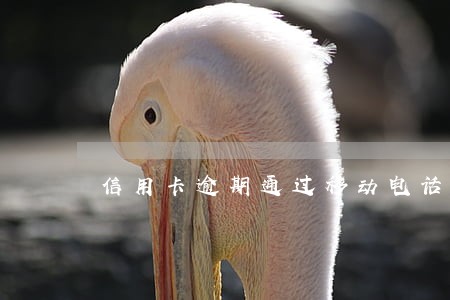 信用卡逾期通过移动电话走访 信用卡逾期通过移动电话走访